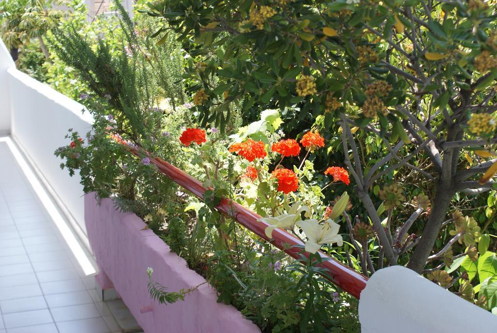 Stam & John Apartments Kos Bagian luar foto
